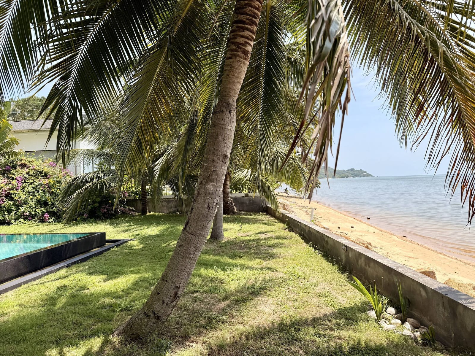 Palm-shaded garden opening onto the beach at Villa Samui Cao